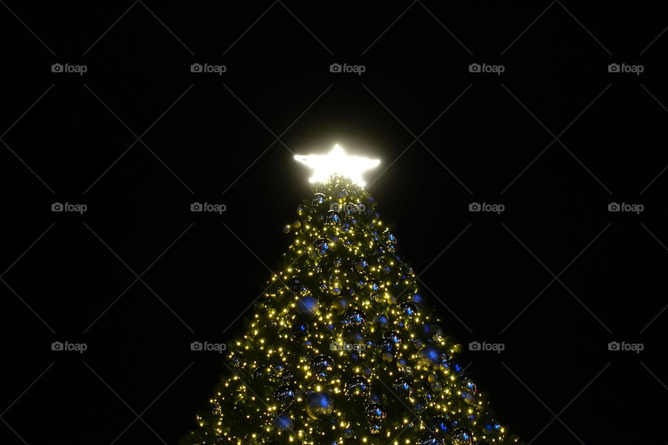 Christmas tree illumination 