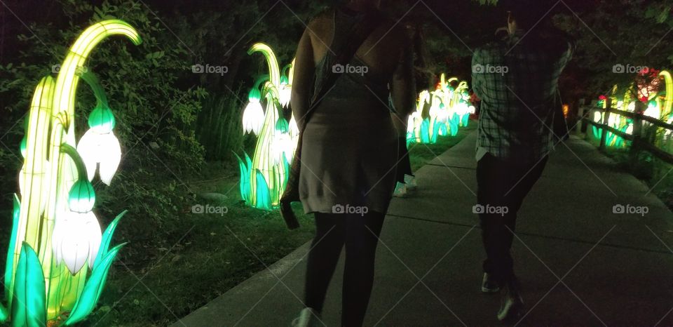 ILLUMINATION of Lights