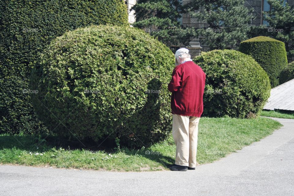 Elder man in the park 