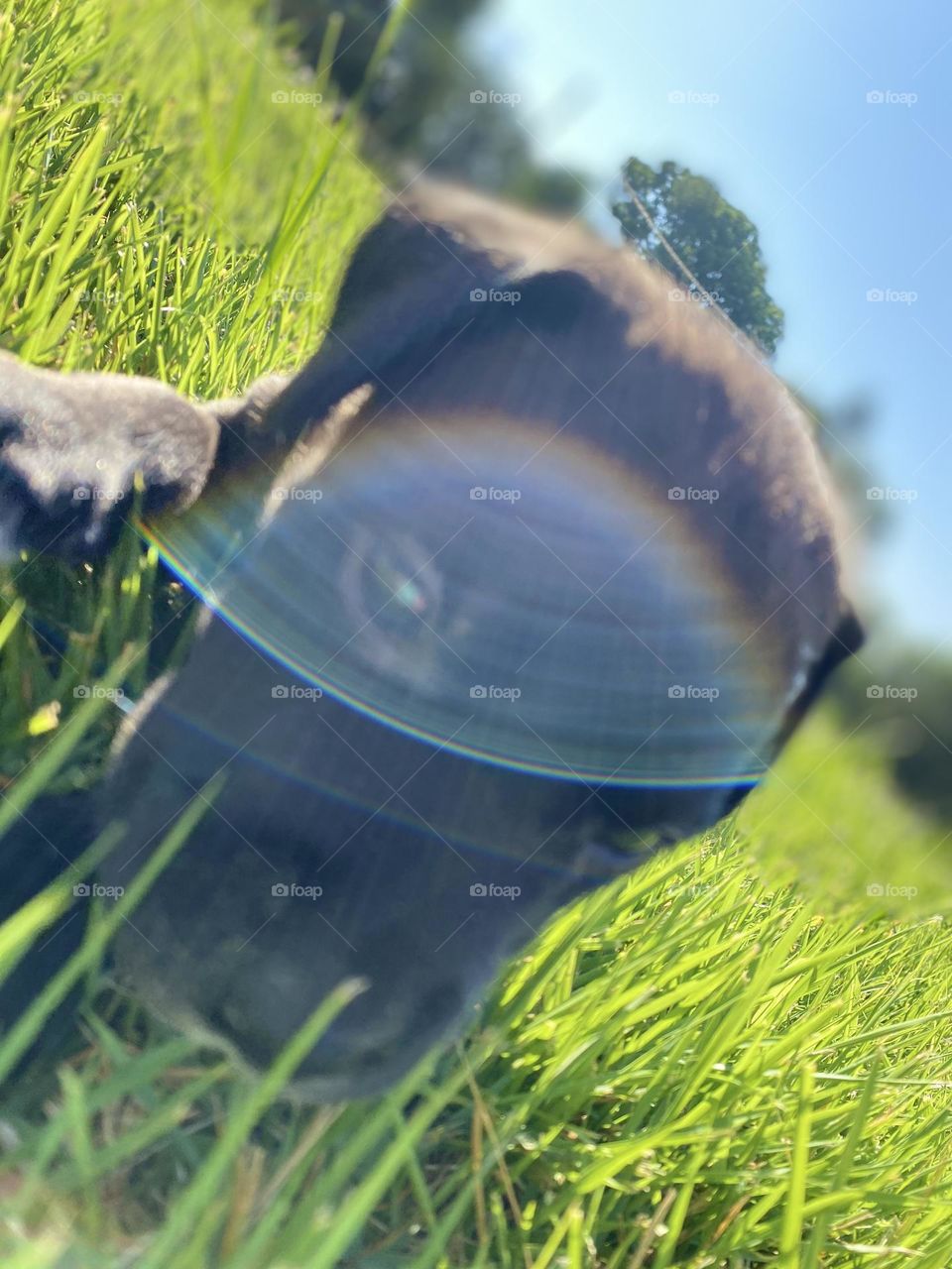 The Future is Bright