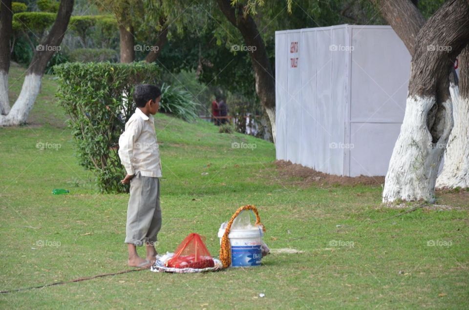 Street Vendor