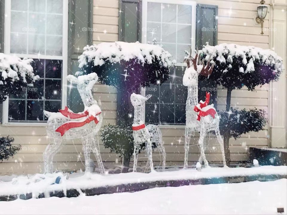 It’s almost Christmas. Who is not excited to decorating their house for Christmas. Even at daytime, those reindeers look stunning.
