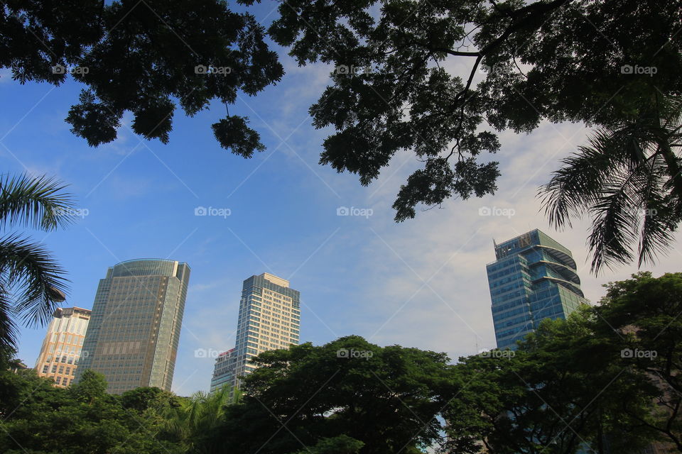 buildings with nature