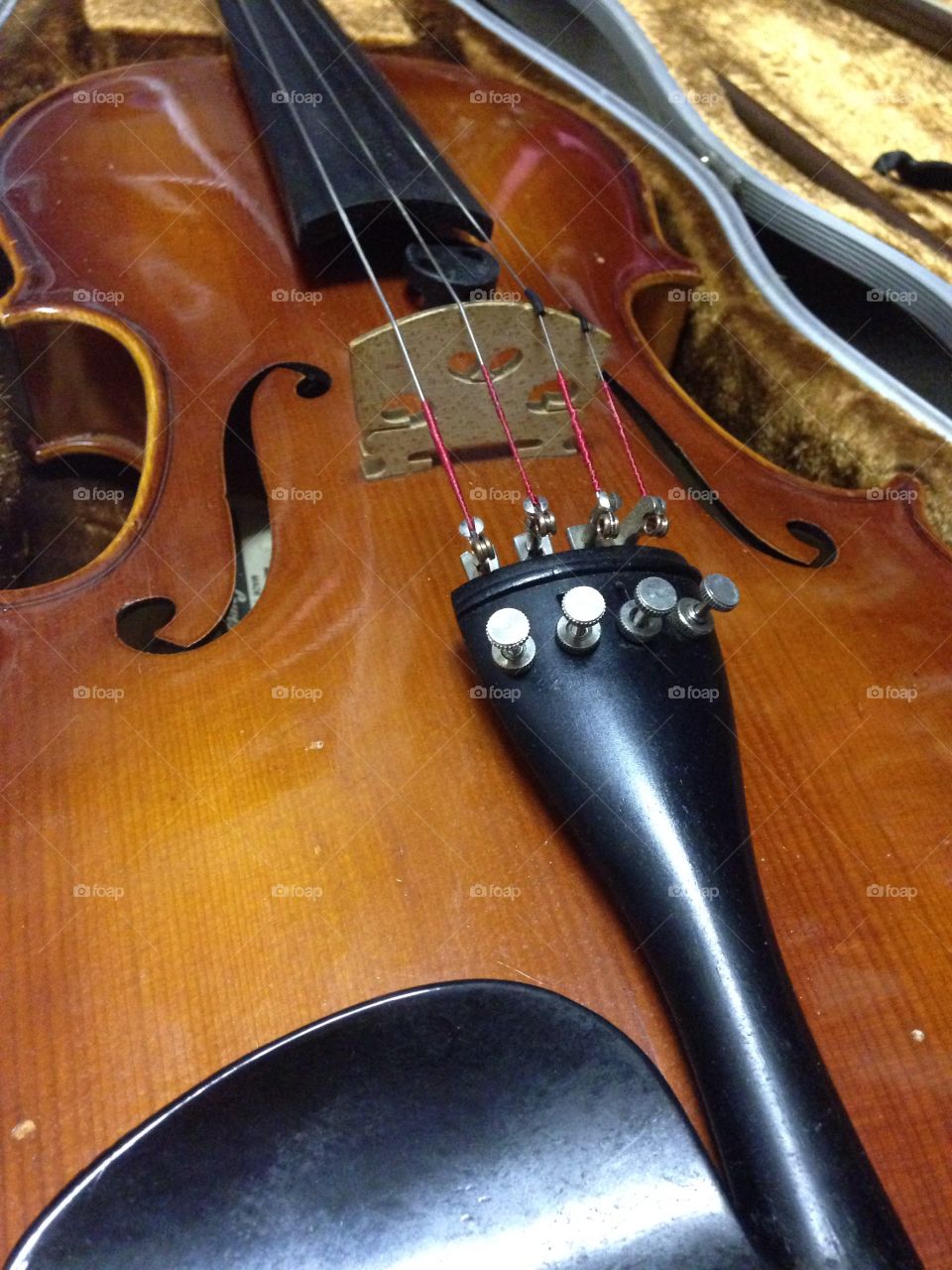 For love of a violin. Close up of a violin