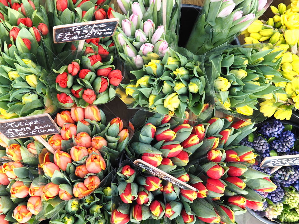 Colorful, bright tulips in a flower shop in London celebrating the first sunny day of spring.