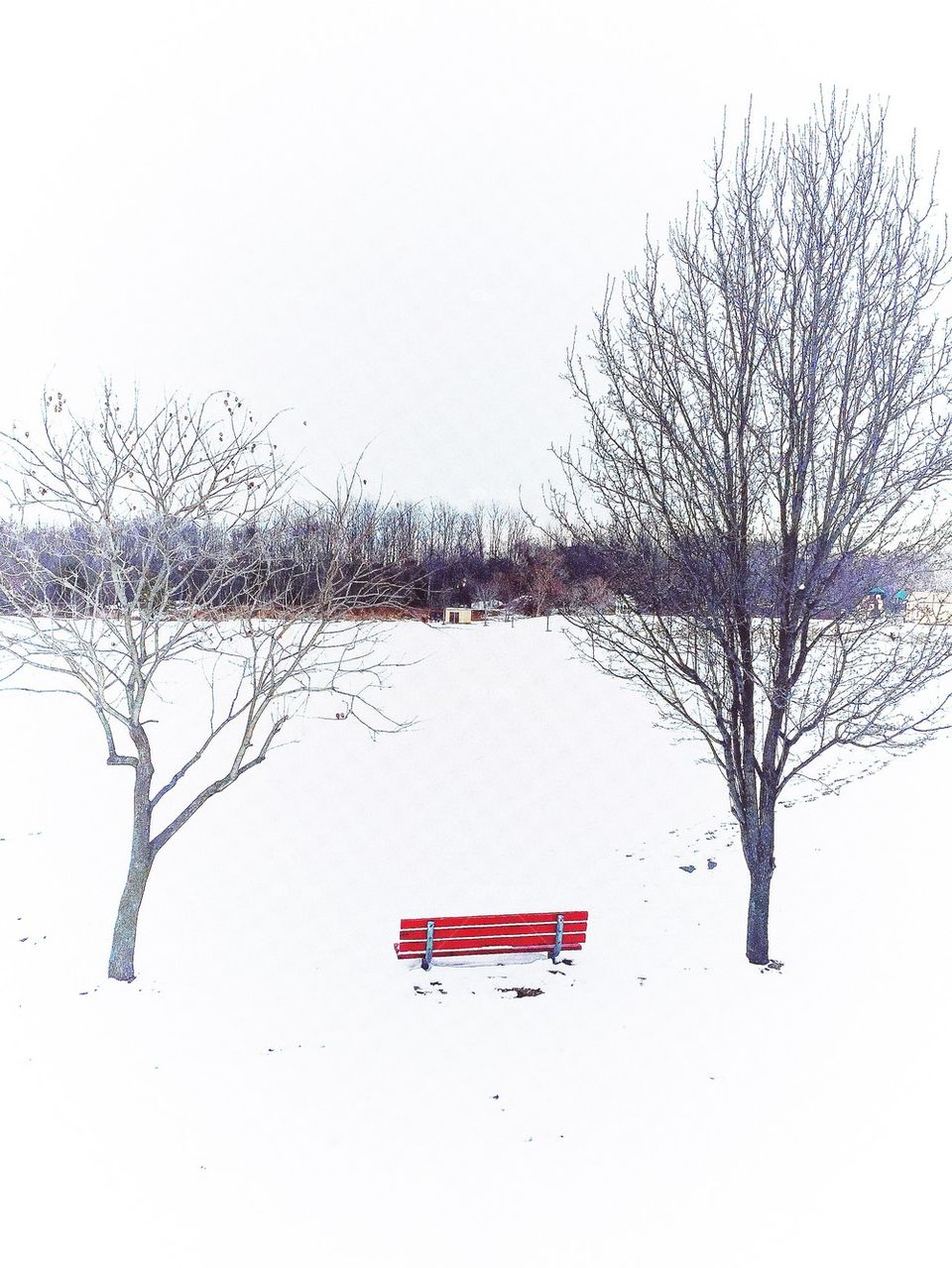 Red Bench in the Snow 