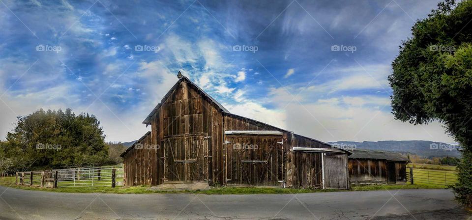 The Barn