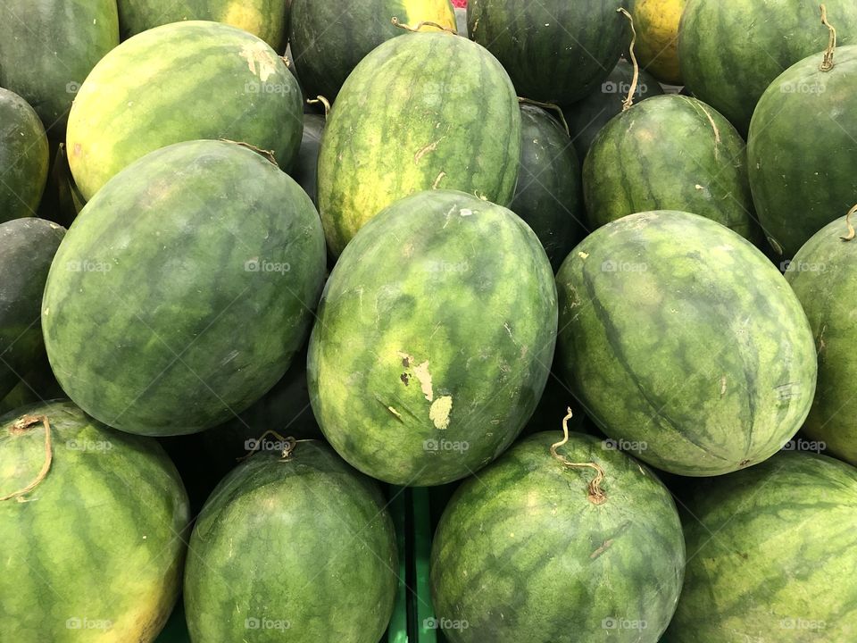 Big green watermelon 