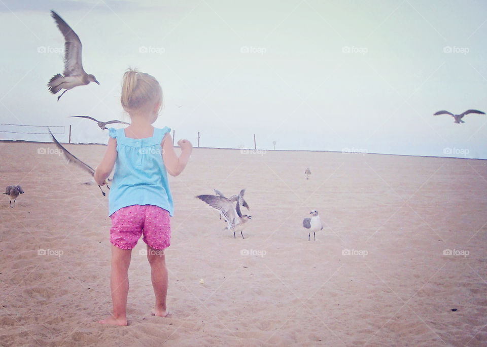 Beach, Vacation, Seagulls, Sand