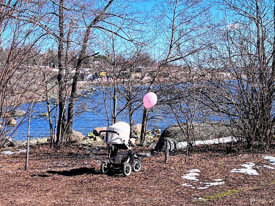 Spring landscape: stroller with pink balloon on the shore of the Baltic Sea with bare trees and bright blue sky on the background on a sunny day