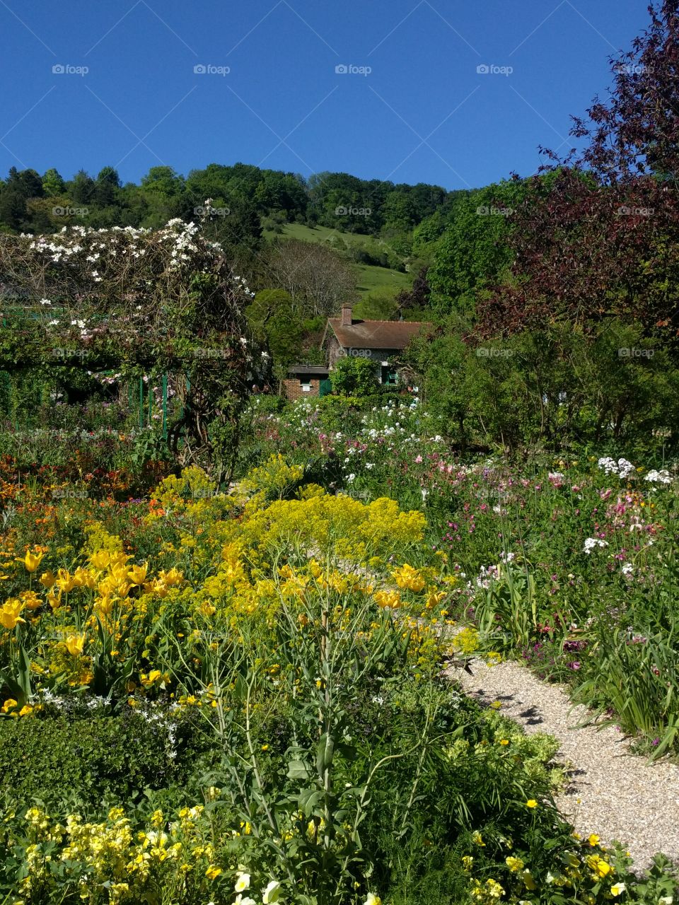 Monet's Garden in Giverny, France