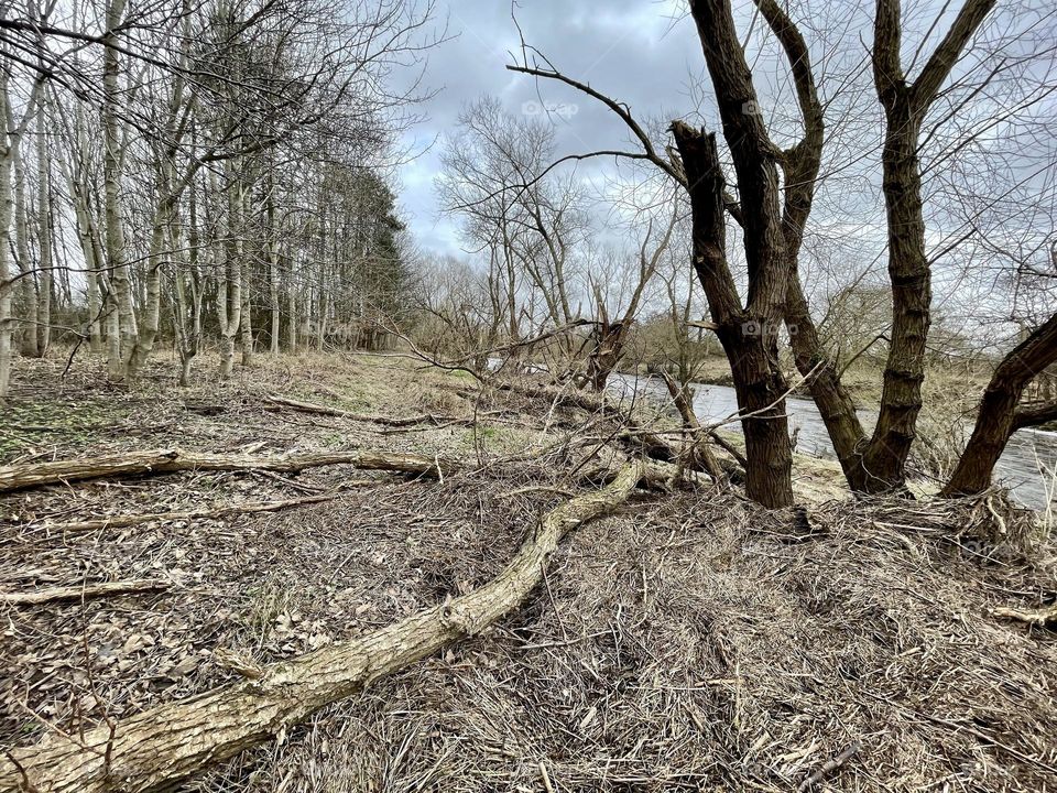 Storm/flood damage to local riverbank 