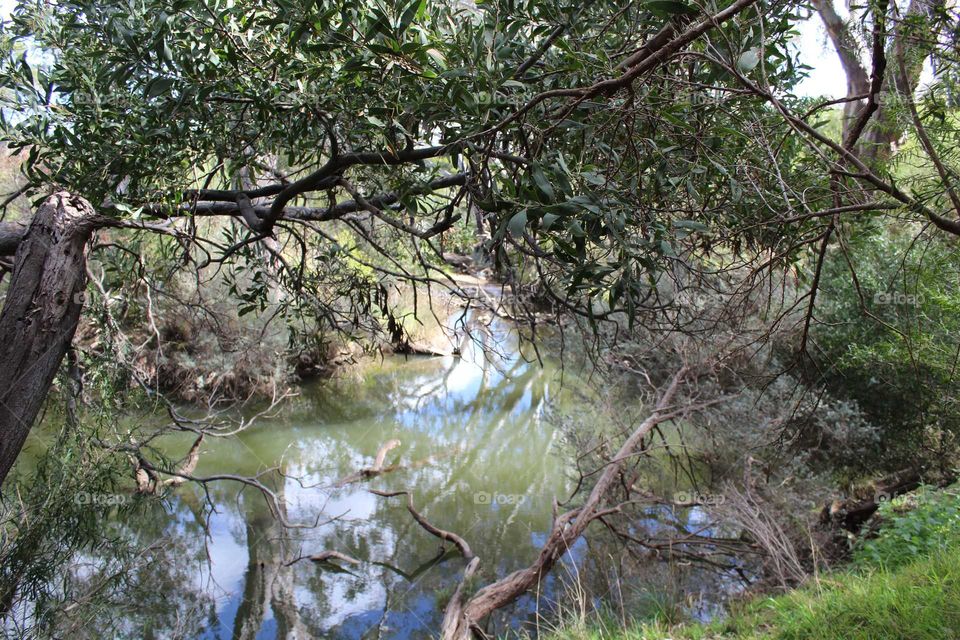 Sunny afternoon reflections by the waters edge