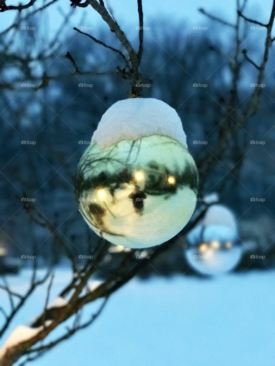 Snowy reflection