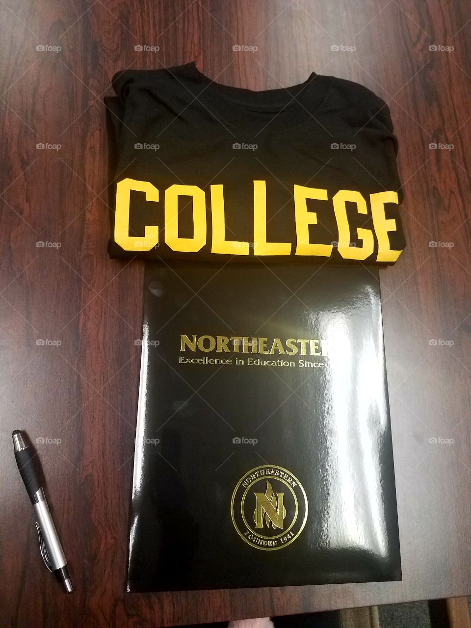 Northeastern College
