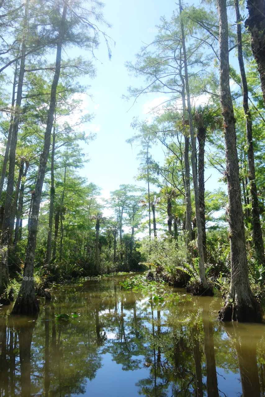 Fascinating boat tour through the Everglades National Park