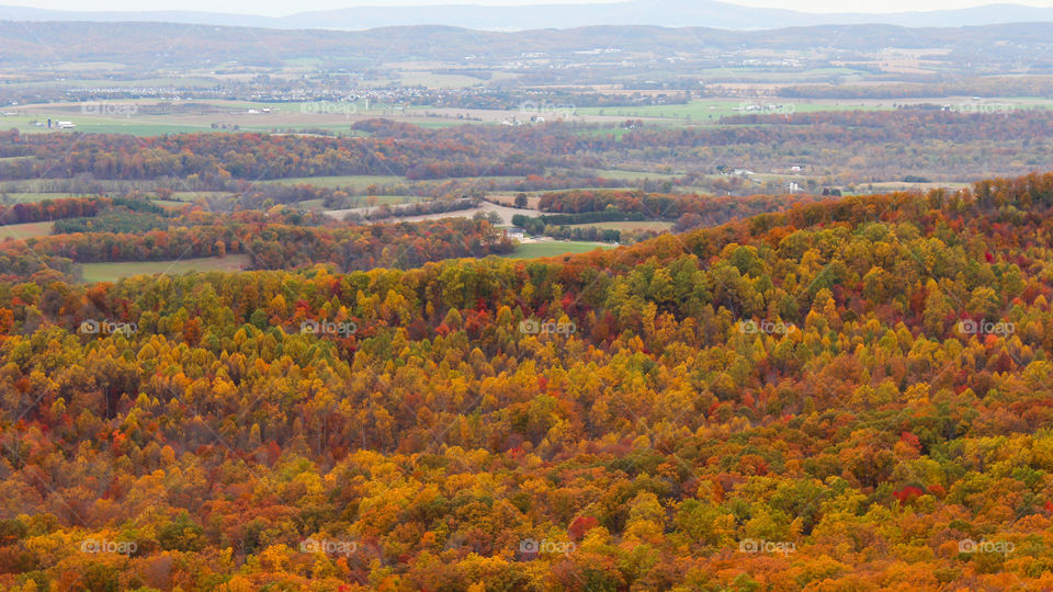 A view of the Valley from the Mountaintop