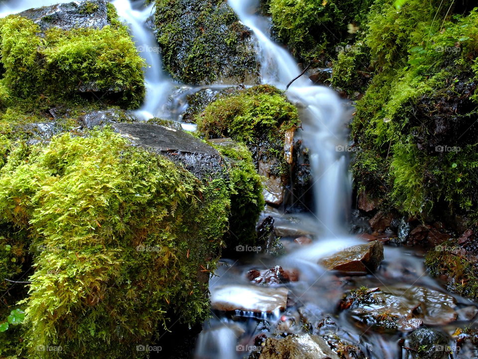 Smooth flowing Proxy Falls off of the Old McKenzie Highway in Western Oregon's Cascade Mountains running through moss covered rocks on a fall day. 