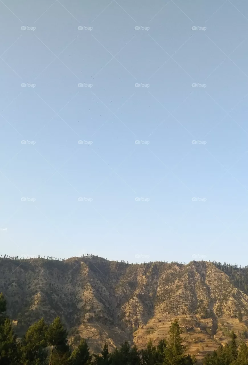 top of hill