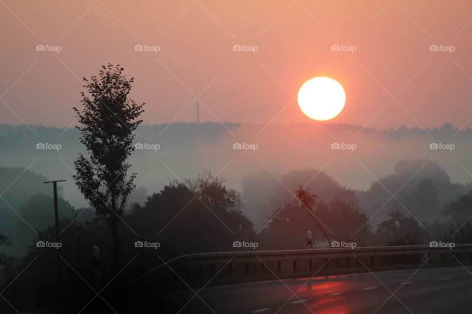 Foggy sunrise