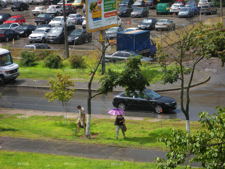 summer rain in the city of Kiev