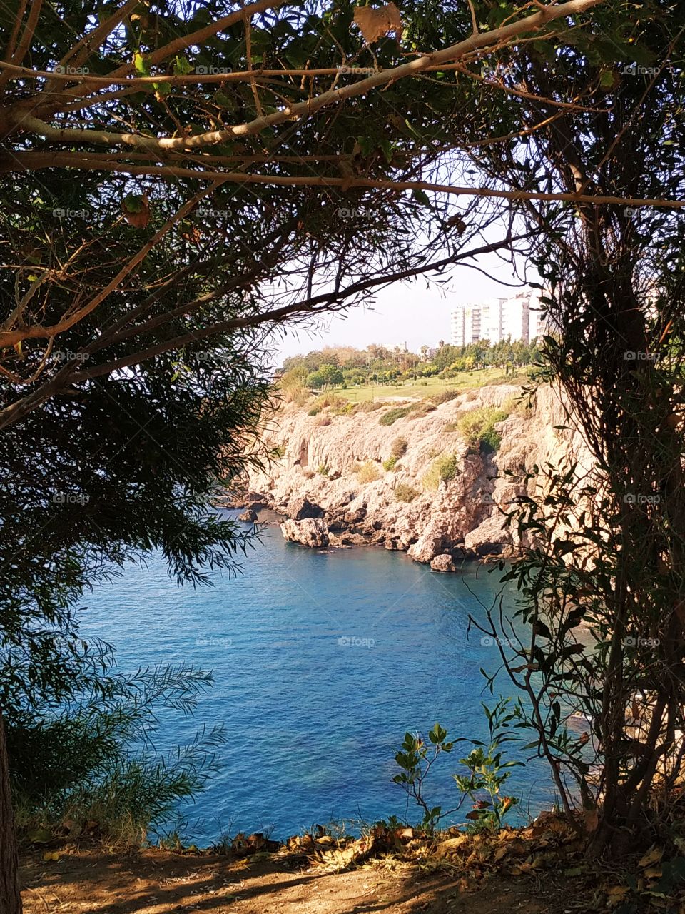 An interesting and beautiful sea, bay and seashore view with cliff and nature with branches frame.