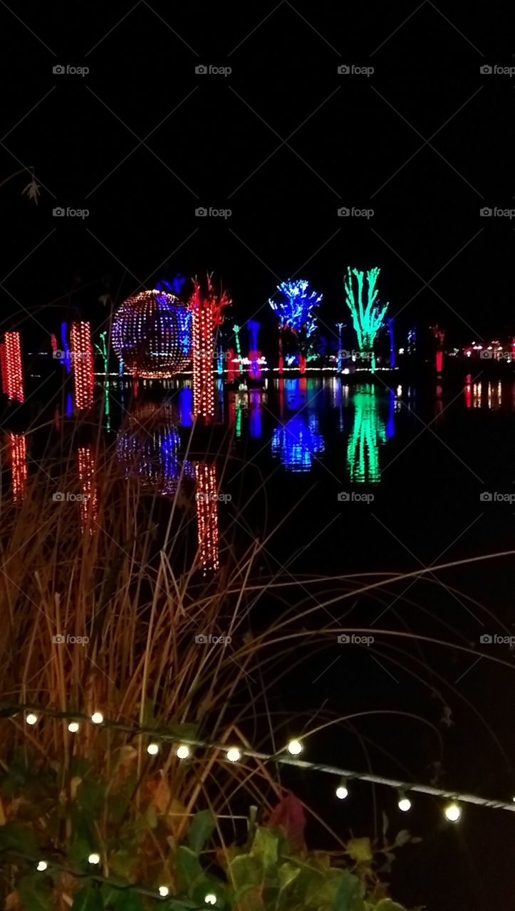 Phoenix Zoo Lights celebration with real Cattails in foreground