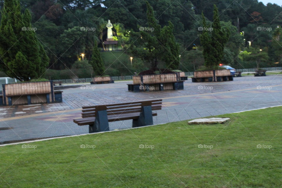 Landscape, Tree, Park, No Person, Road