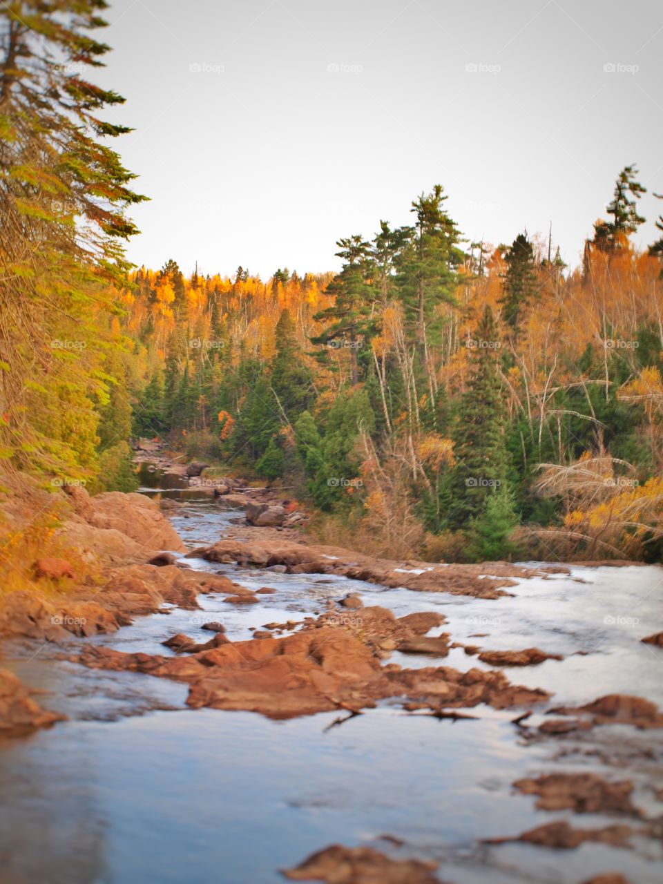The Mouth of the River