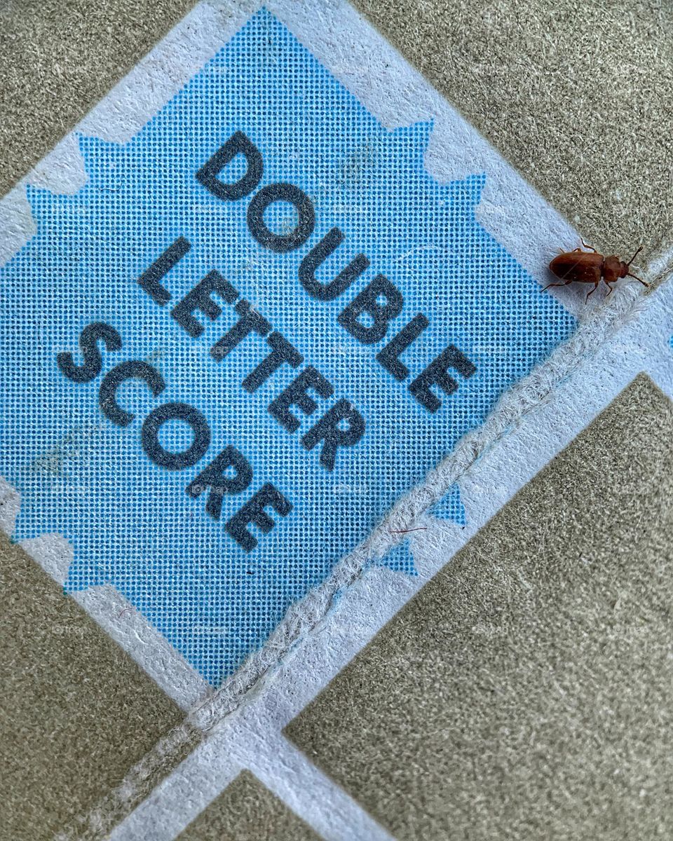 The insect crawled on scrabble board
