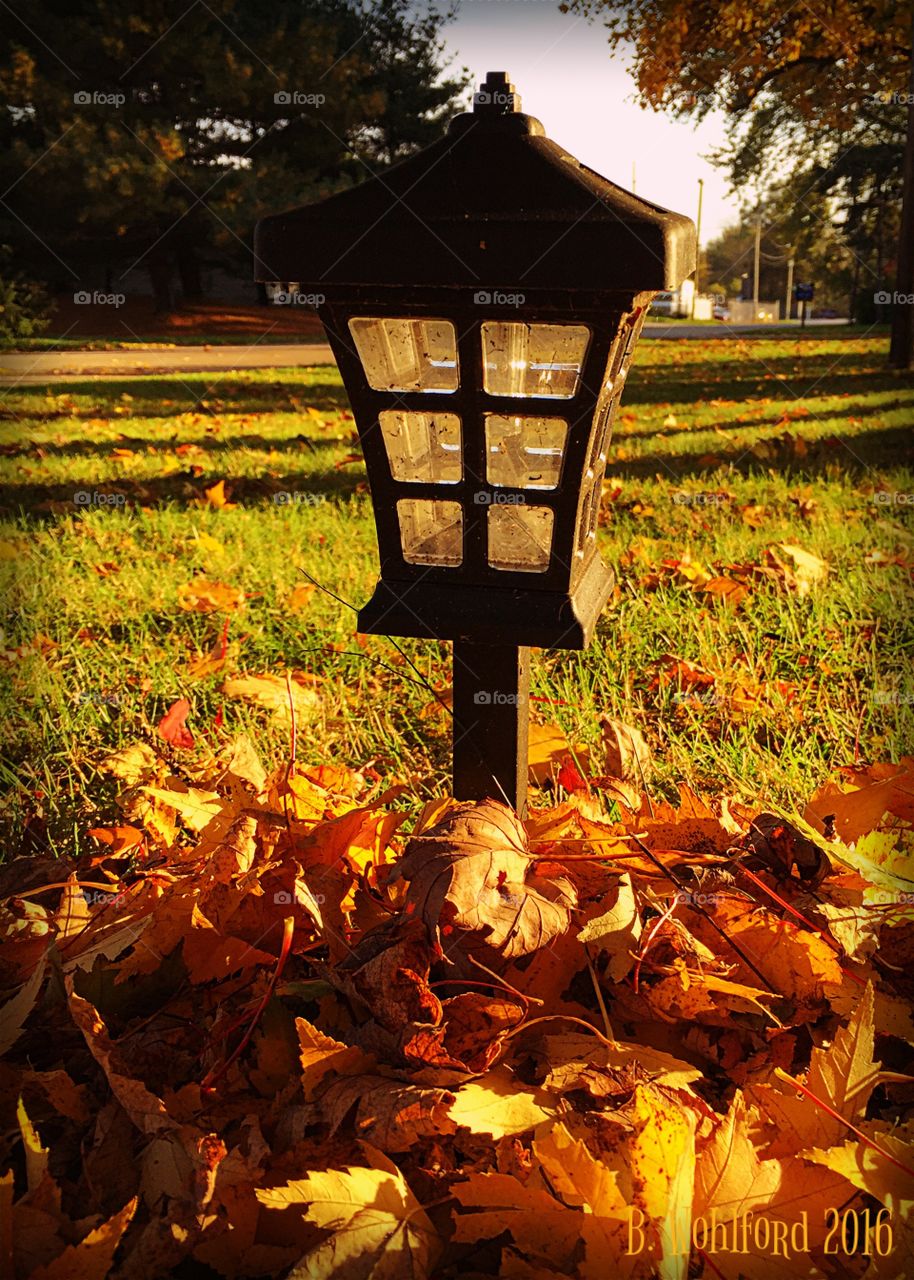 Lamppost in autumn leaves