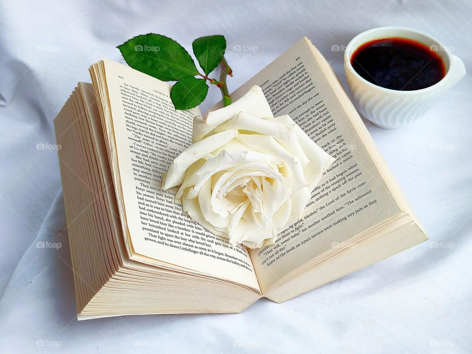 White colour.  An open book with white pages lies on a white background.  On the pages of the book lies a white rose with a green leaf.  In the background is a white cup with dark coffee.