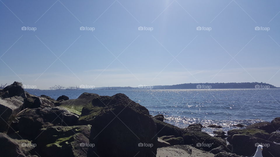 puget sound view from sculpture park