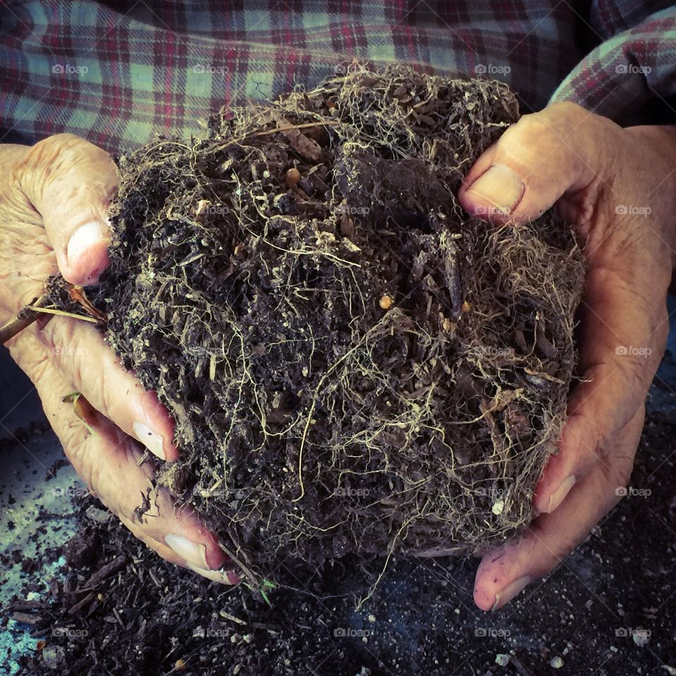 Manipulating soil and roots 