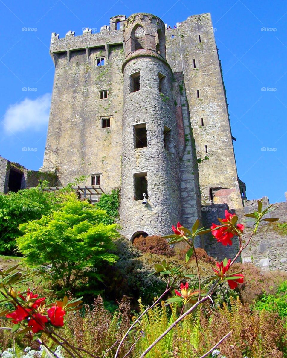 Blarney Castle, Ireland