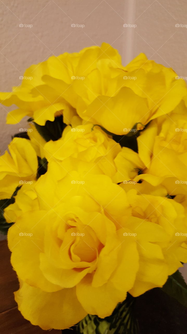 yellow flowers