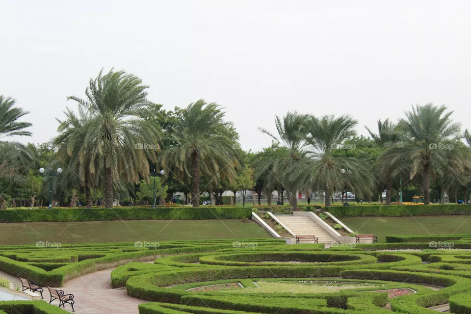 Park