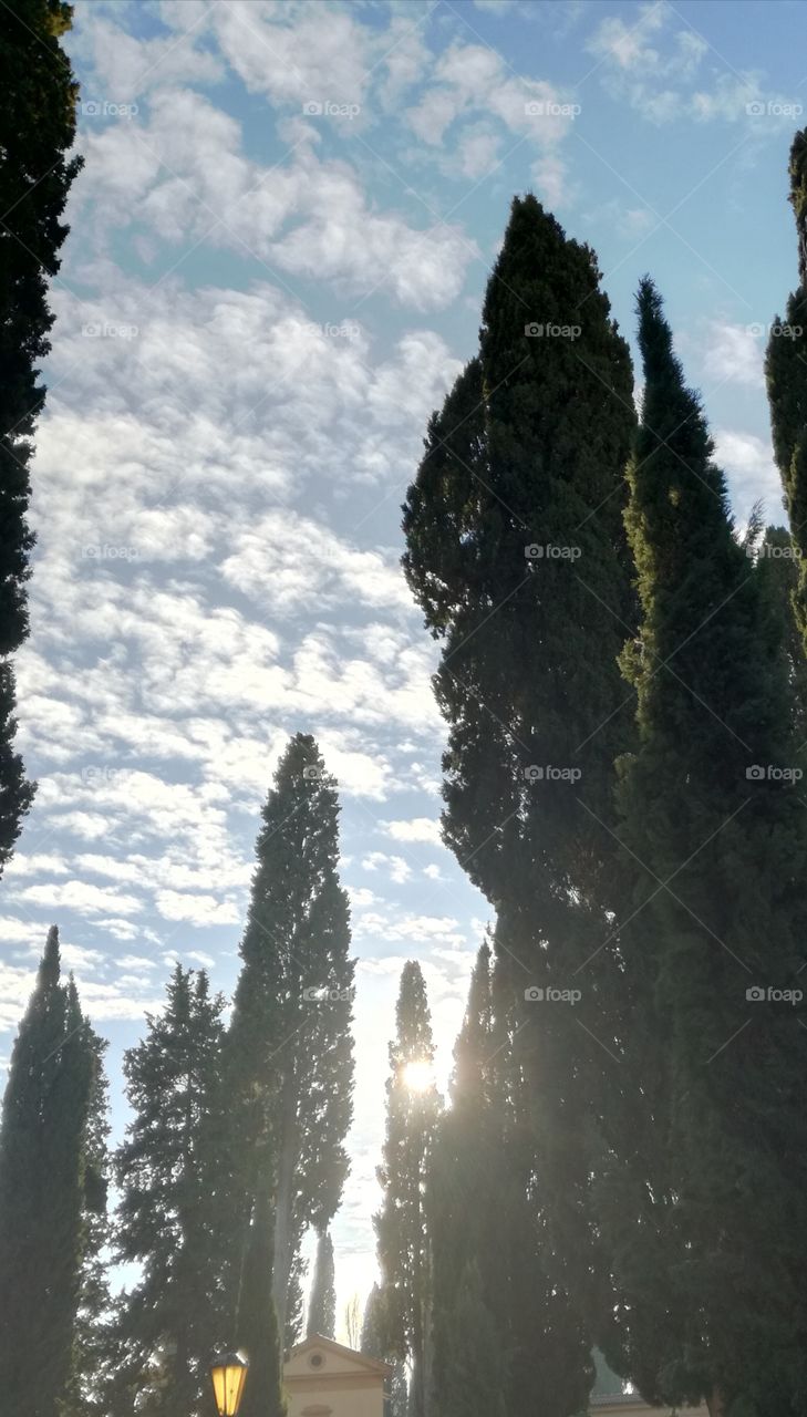 Sunny and cloudy afternoon