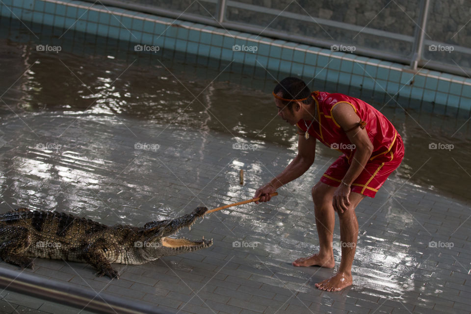 Water, People, River, Flood, Reptile