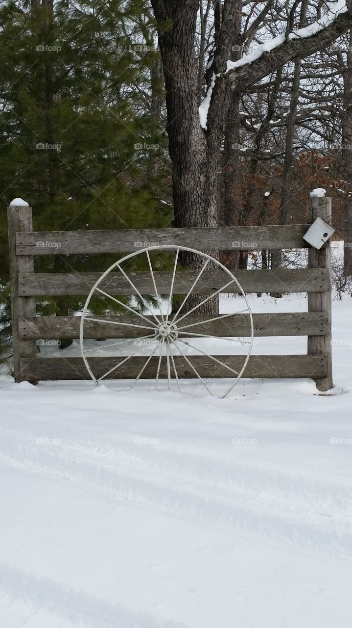 winter wheel