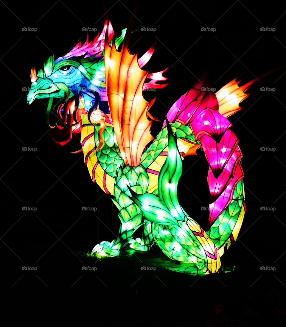 China Lights Dragon