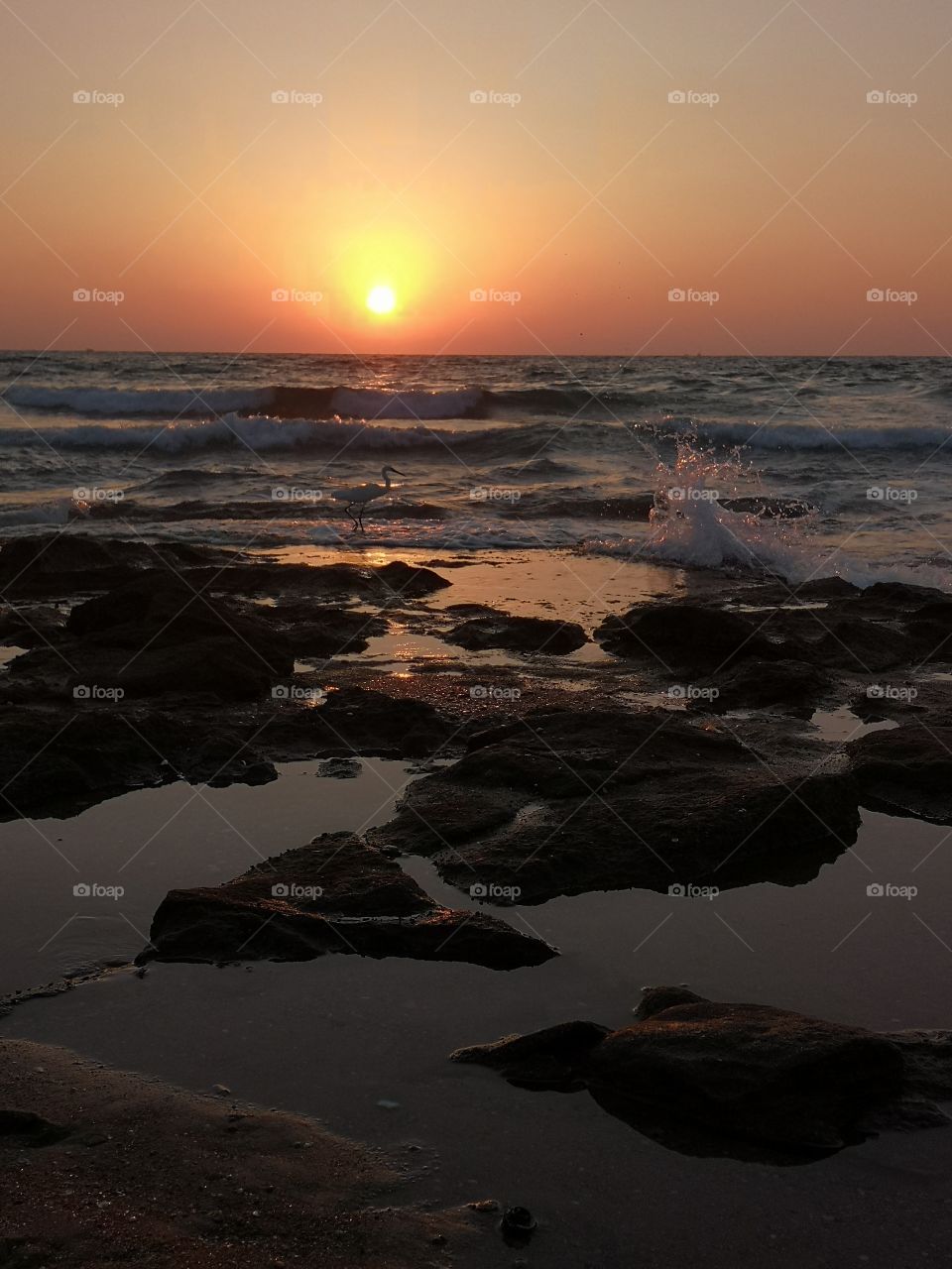 Sunset. Rocks. Sea