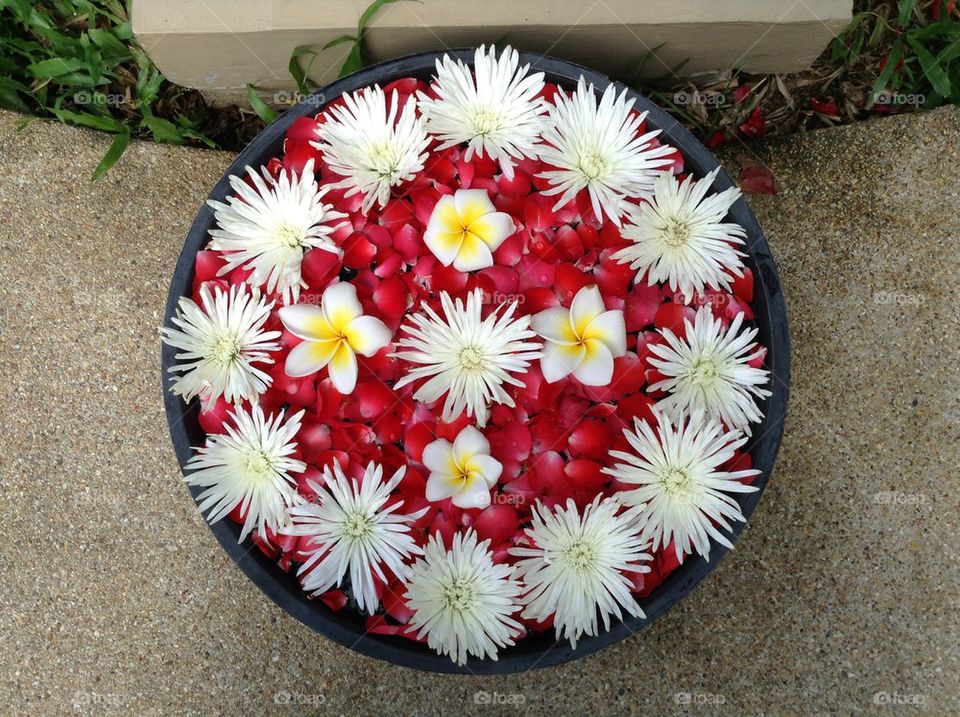 Spa flowers decorated in bowl