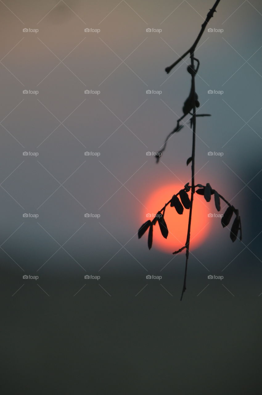 romantic evening with red spot