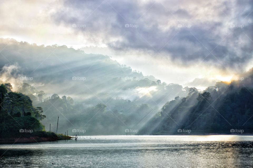 Belum Rainforest Reserve