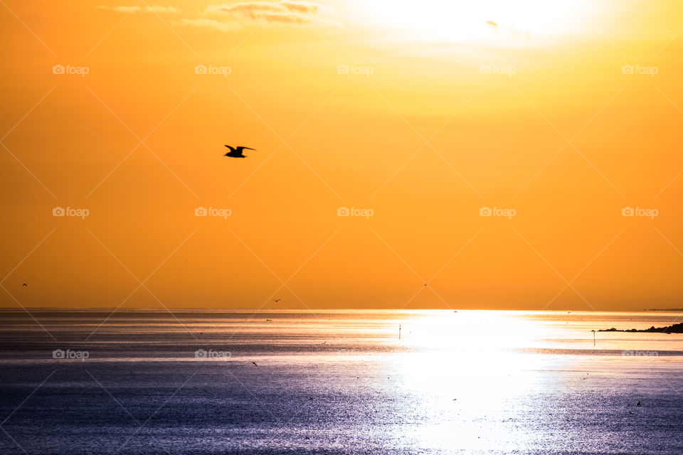 Flying under the sun