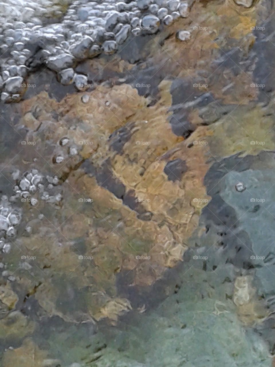 A rock with a face, found in a small steam running down the Old Man of Coniston in the Lake District National Park of England. 