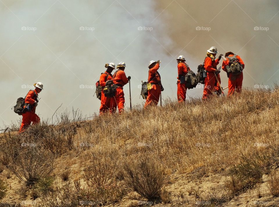 Heroic Firefighters. Fire Crew Battling A Raging Forest Blaze
