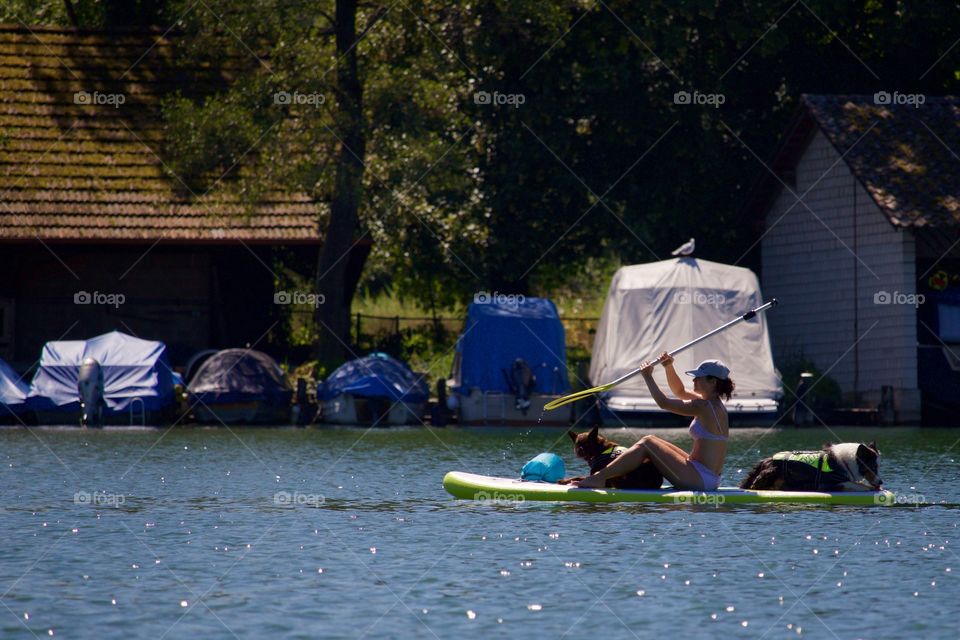 Rowing With Dogs