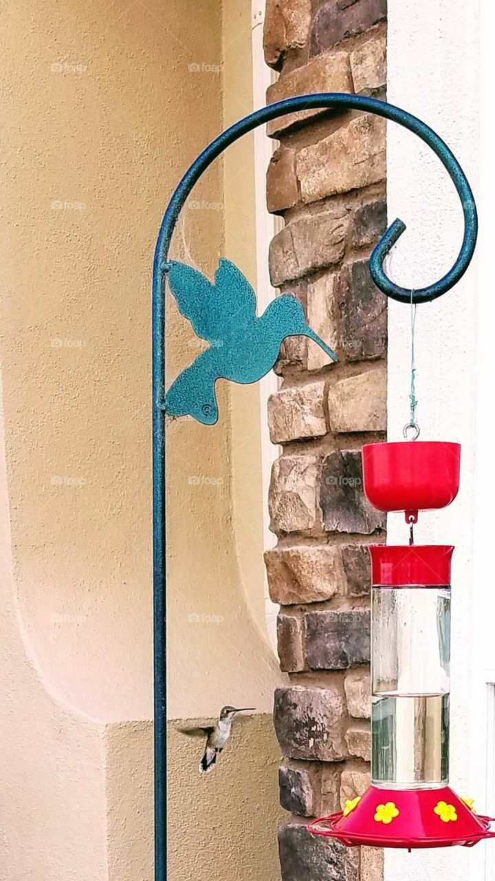 a tiny hummingbird flying up to a bright red feeder near a brick corner of a house